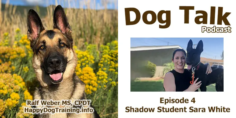 Podcast - Shadow Student Sara White