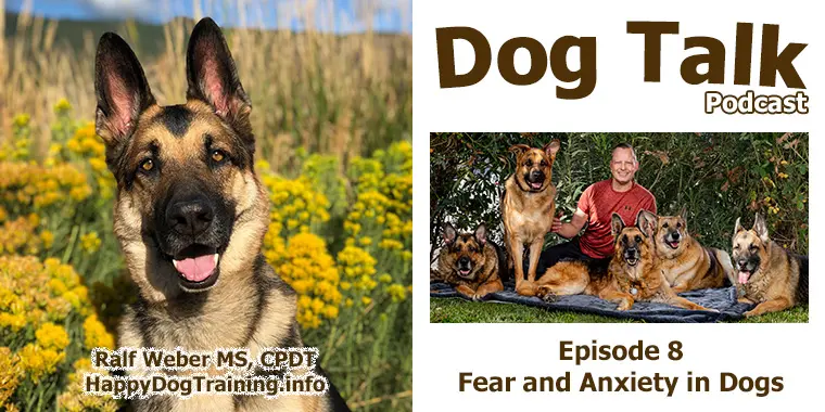 Podcast - Fear and Anxiety in Dogs