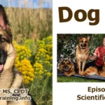 Podcast - Scientific Studies