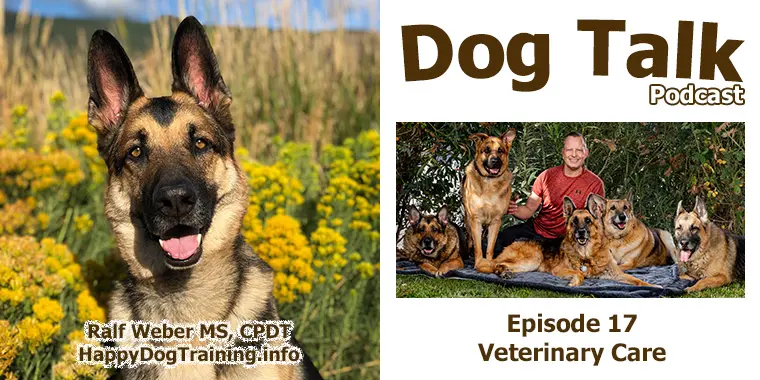 Podcast - Veterinary Care