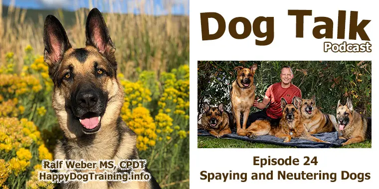 Podcast - Spaying and Neutering Dogs