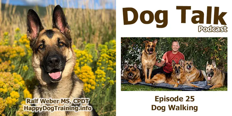 Podcast - Dog Walking