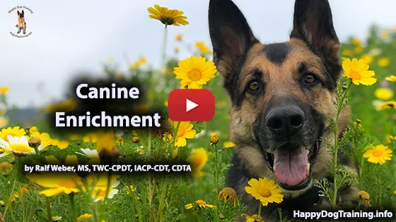 Canine Enrichment - Relevance and How-Tos