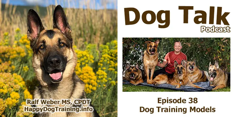Podcast - Dog Training Models
