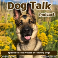 Podcast - The Process of Teaching Dogs