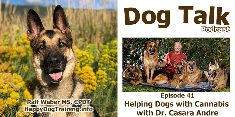 Podcast - Helping Dogs with Cannabis with Dr. Casara Andre