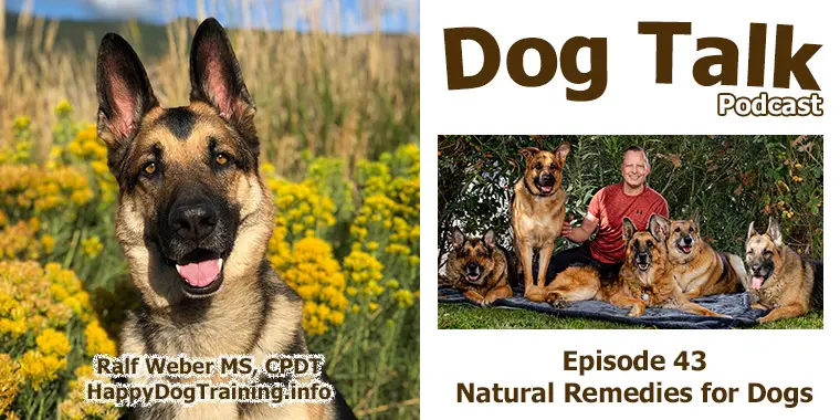 Podcast - Natural Remedies for Dogs