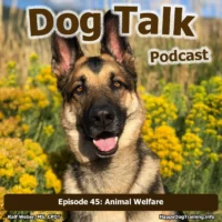 Podcast - Animal Welfare for Dogs