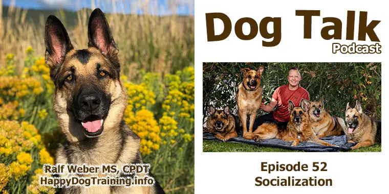 Podcast - Dog Socialization
