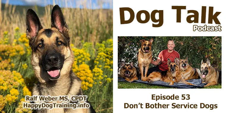 Podcast - Don't Bother Service Dogs