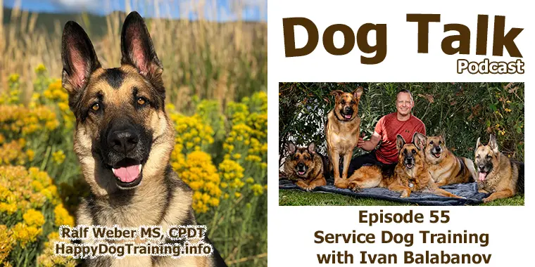 Podcast - Service Dog Training with Ivan Balabanov