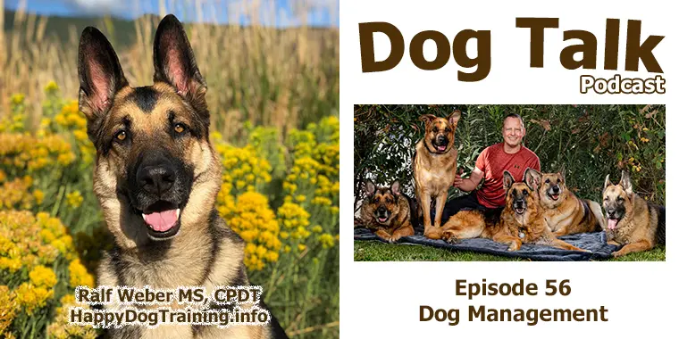 Podcast - Dog Management