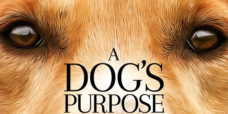 A Dog’s Purpose – My Thoughts On The Movie
