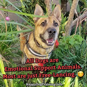All Dogs Are Emotional Support Animals