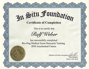 Cancer Detection Training