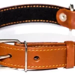 Dog Collars: The Different Styles and Their Purpose