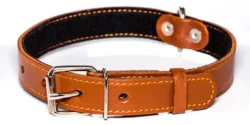 Dog Collars: The Different Styles and Their Purpose