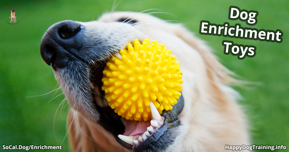 Dog Enrichment Toys for Mental Stimulation