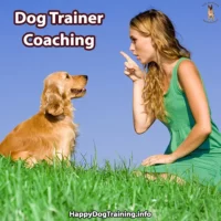 Dog Trainer Coaching
