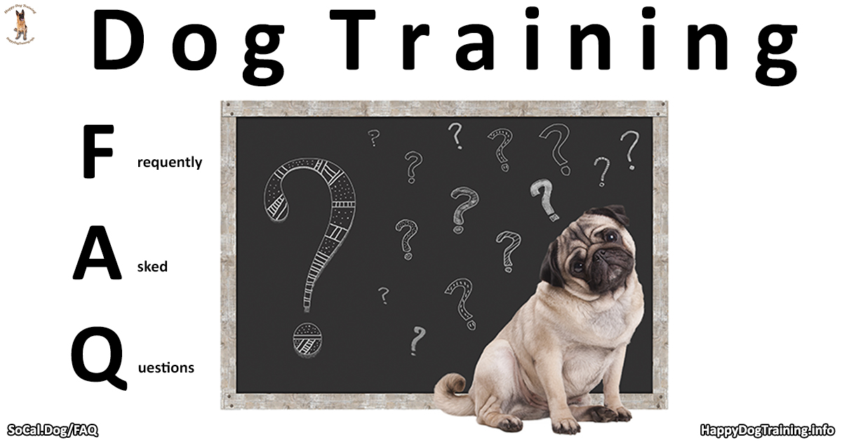 Brain Training for Dogs Review: Was it Worth My Money? - Shepherd Sense