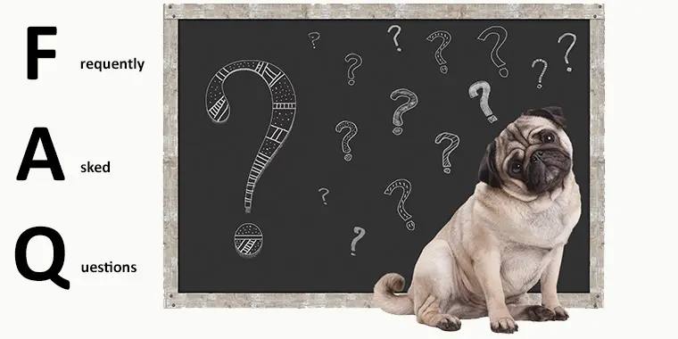 Dog Training Questions