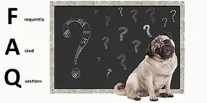 Dog Training Questions and Answers