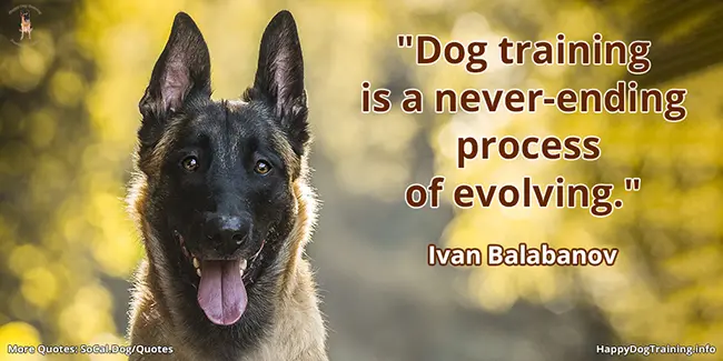 Dog training is a never-ending process of evolving - Ivan Balabanov