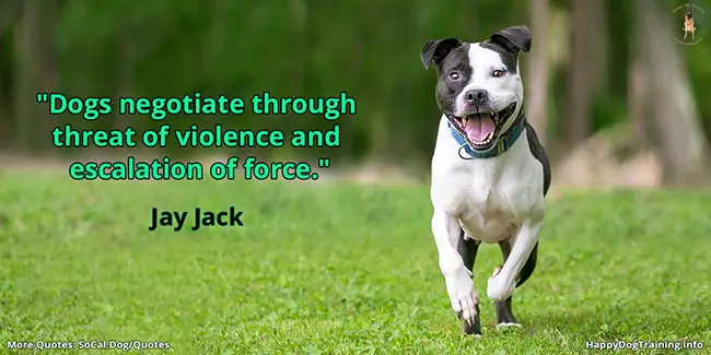 Dogs negotiate through threat of violence and escalation of force - Jay Jack