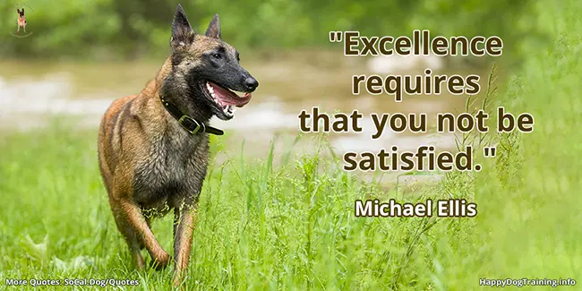 Excellence requires that you not be satisfied - Michael Ellis