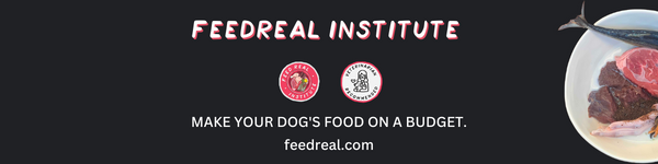 Feed Real Institute