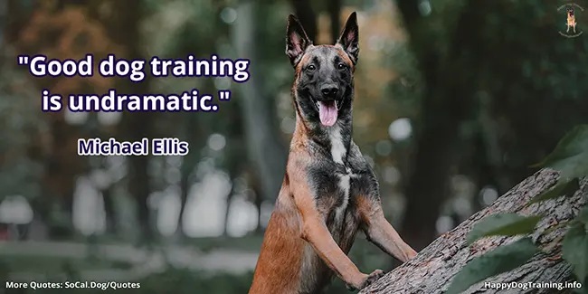 Good dog training is undramatic - Michael Ellis
