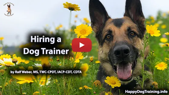 what is the difference between a dog trainer and a behaviorist