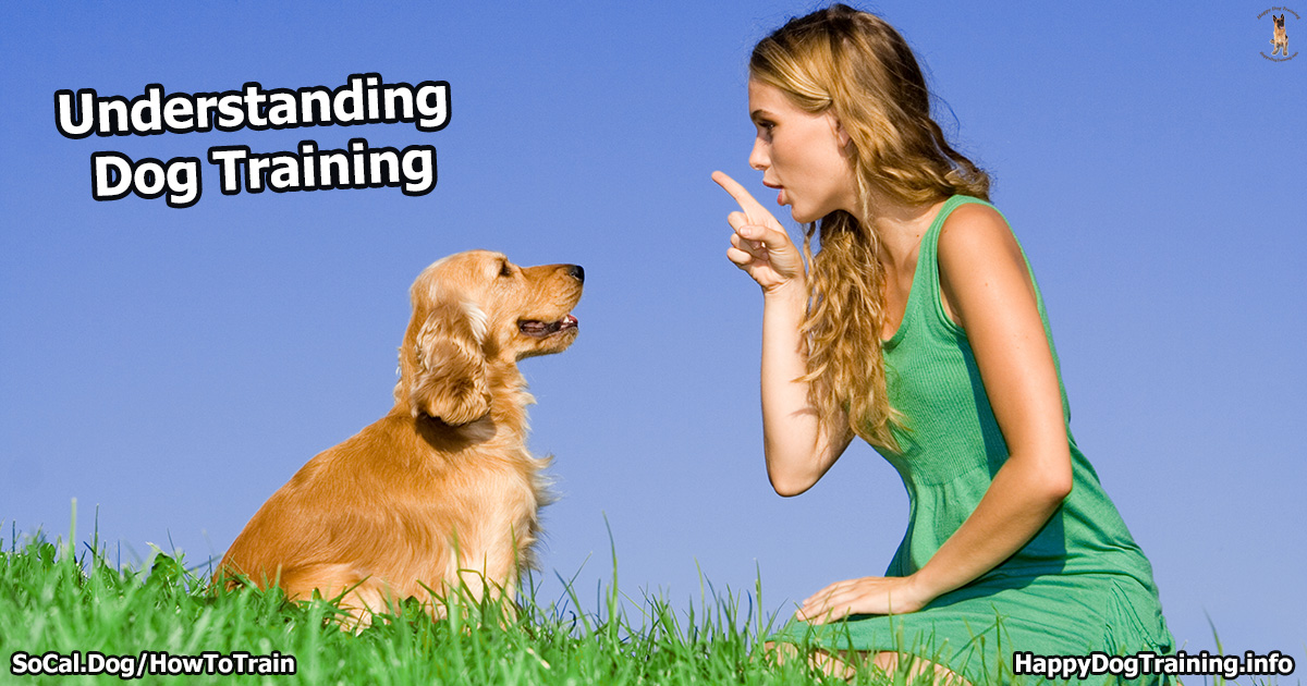 https://happydogtraining.info/wp-content/uploads/How-to-Train-a-Dog-Facebook-1200x630-1.jpg