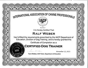IACP Certified Dog Trainer