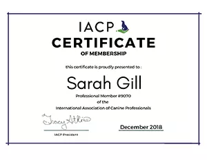 IACP Professional Membership