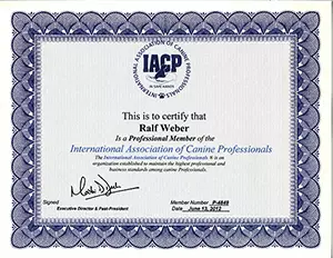 IACP Professional Membership