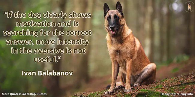 If the dog clearly shows motivation and is searching for the correct answer, more intensity in the aversive is not useful - Ivan Balabanov