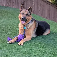 Testimonial by Jacob C for Athis