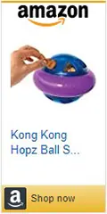 Kong Hopz Ball