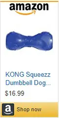 Dog enrichment toys: Kong Squeezz Dumbbell