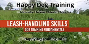 Learn Leash Handling Skills