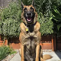 Testimonial by Maja K. for Oscar