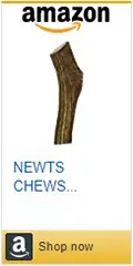 Newt's Chews Antlers