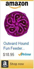 Outward Hound Fun Feeder