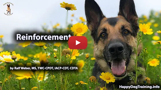 https://happydogtraining.info/wp-content/uploads/Reinforcement-Facade-560x315-1.webp