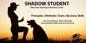 Dog Training Shadow Student