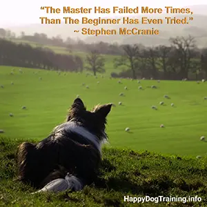 The Master Has Failed More Times Than The Beginner Has Even Tried - Stephen McCranie