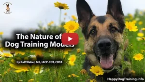 The Nature of Dog Training Models