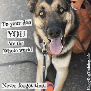 To Your Dog You Are The Whole World