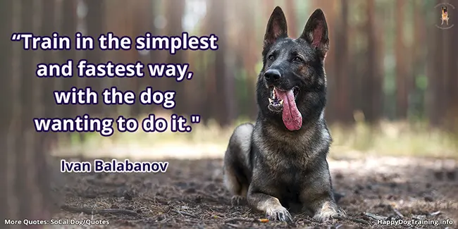 Train in the simplest and fastest way, with the dog wanting to do it - Ivan Balabanov